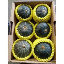 Fresh Pumpkin, High Quality Fresh Mini Pumpkin From China